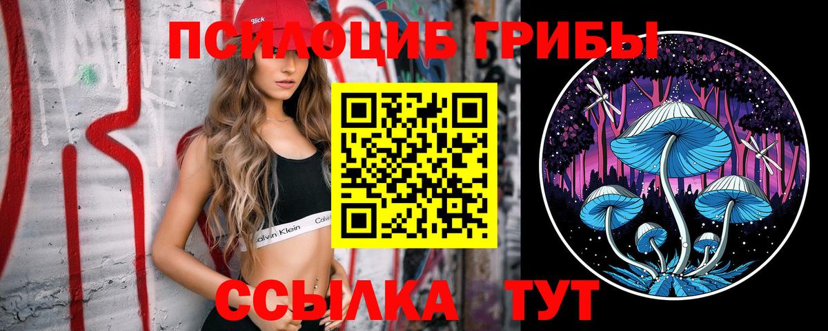 Псилоцибиновые грибы мухоморы Юрга