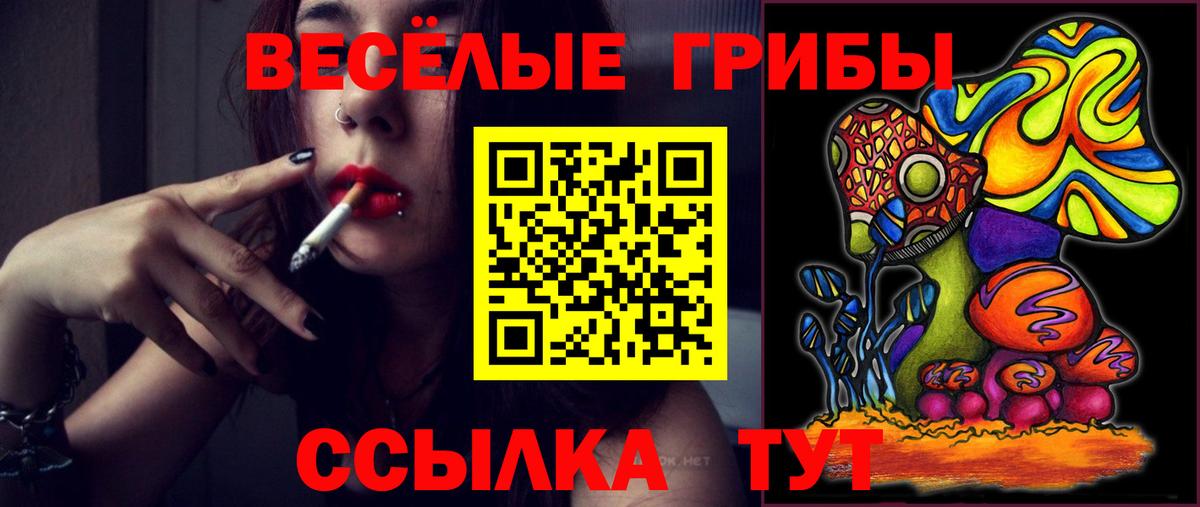 Юрга  Псилоцибиновые грибы Psilocybine cubensis  Вход с VPN 