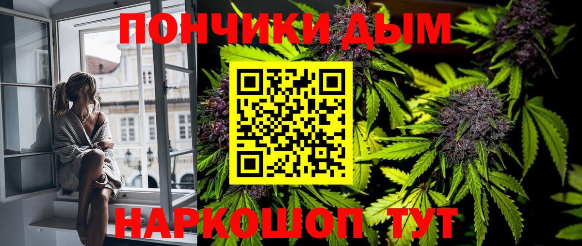 Бошки марихуана план Юрга